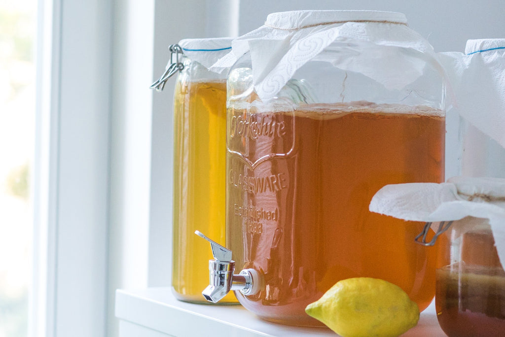 Quelles sont les vertus et bienfaits du Kombucha ?